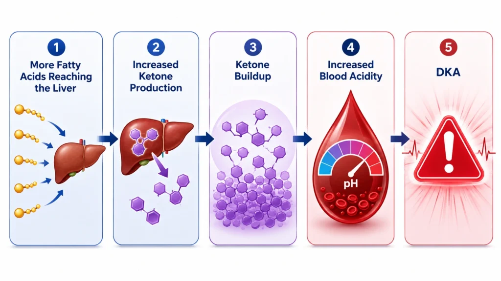 Know why and what diabetes condition causes an increase in lipolysis dka diabetic ketoacidosis.